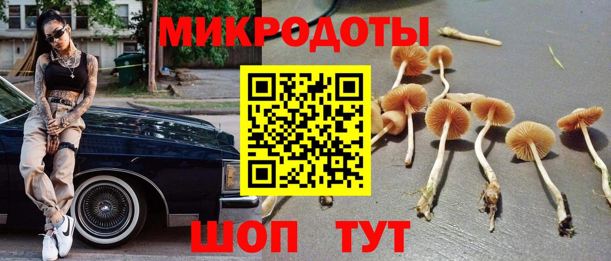 Галлюциногенные грибы MAGIC MUSHROOMS Волгодонск